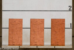 WS_KEWAZINGA_26074-15_2