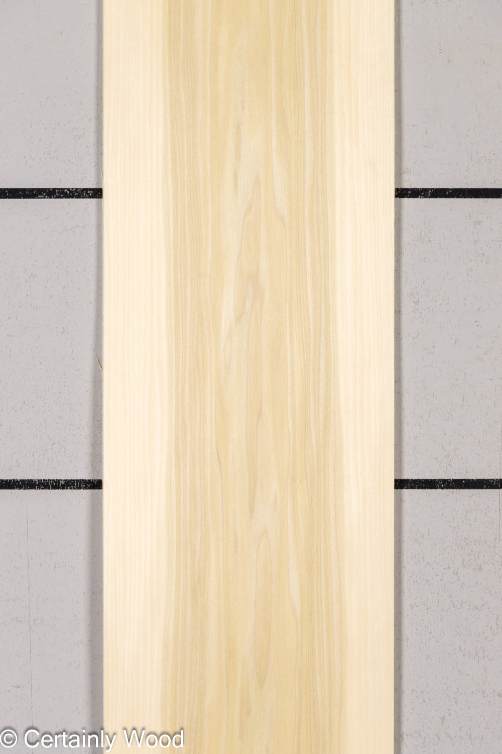 Featured Product Image