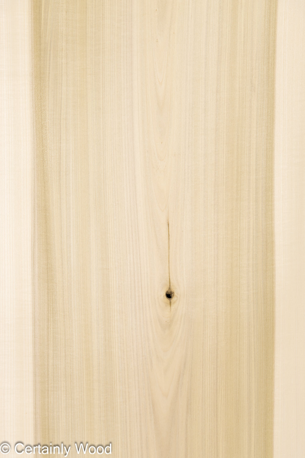Featured Product Image