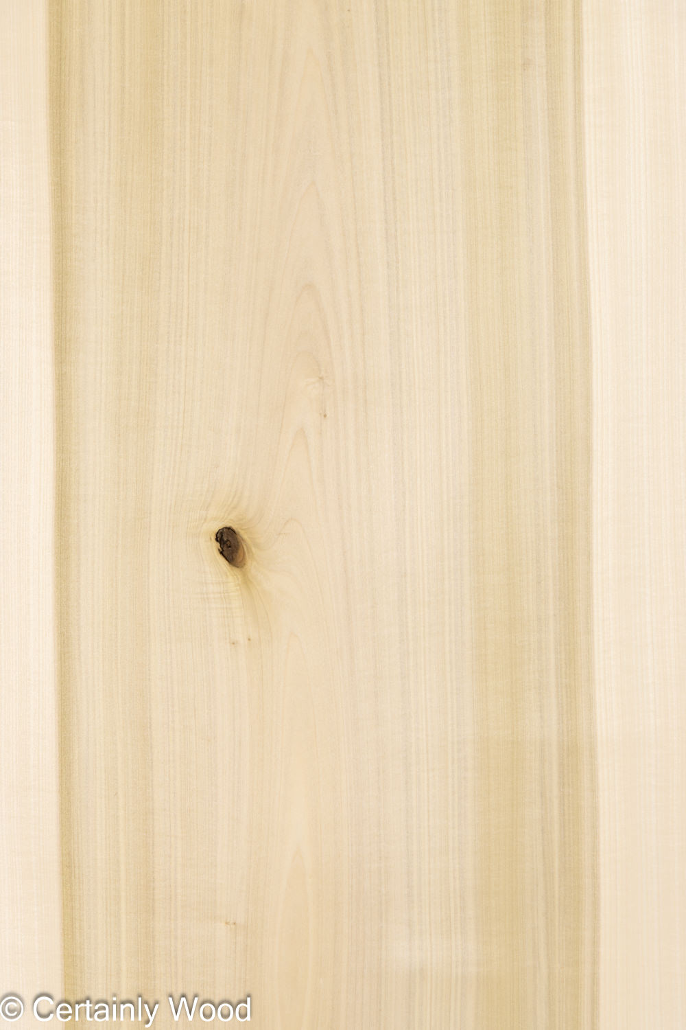 Featured Product Image