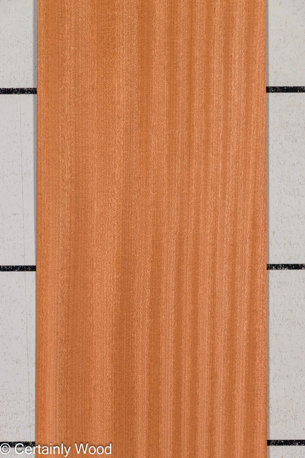 Featured Product Image