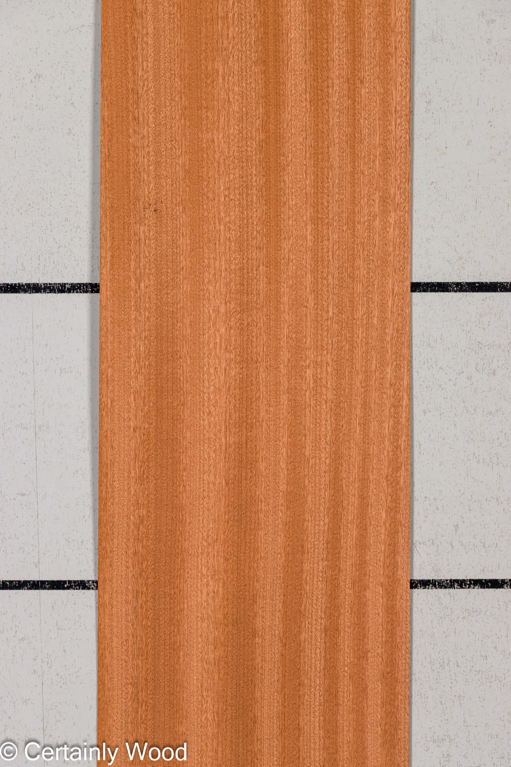 Featured Product Image