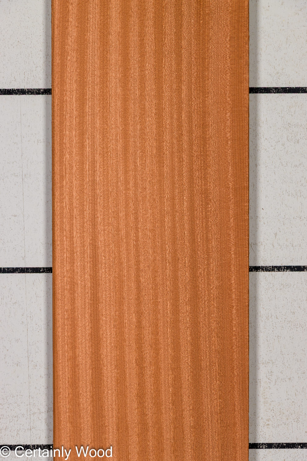 Featured Product Image