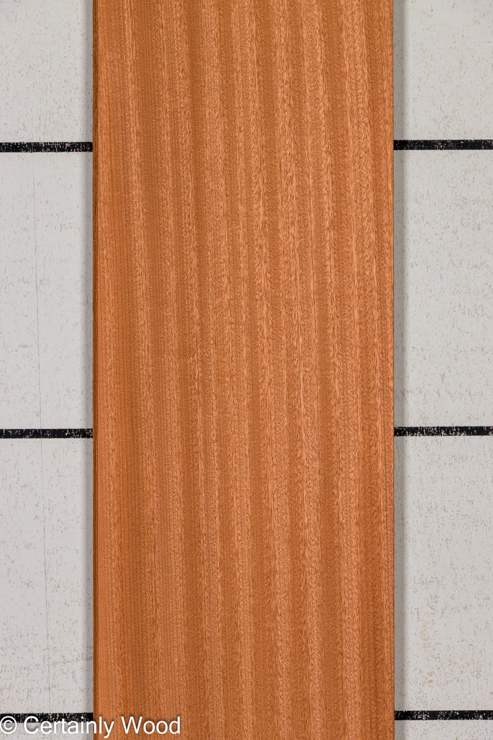 Featured Product Image