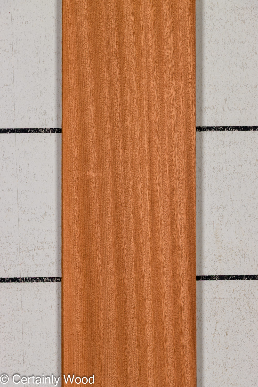 Featured Product Image