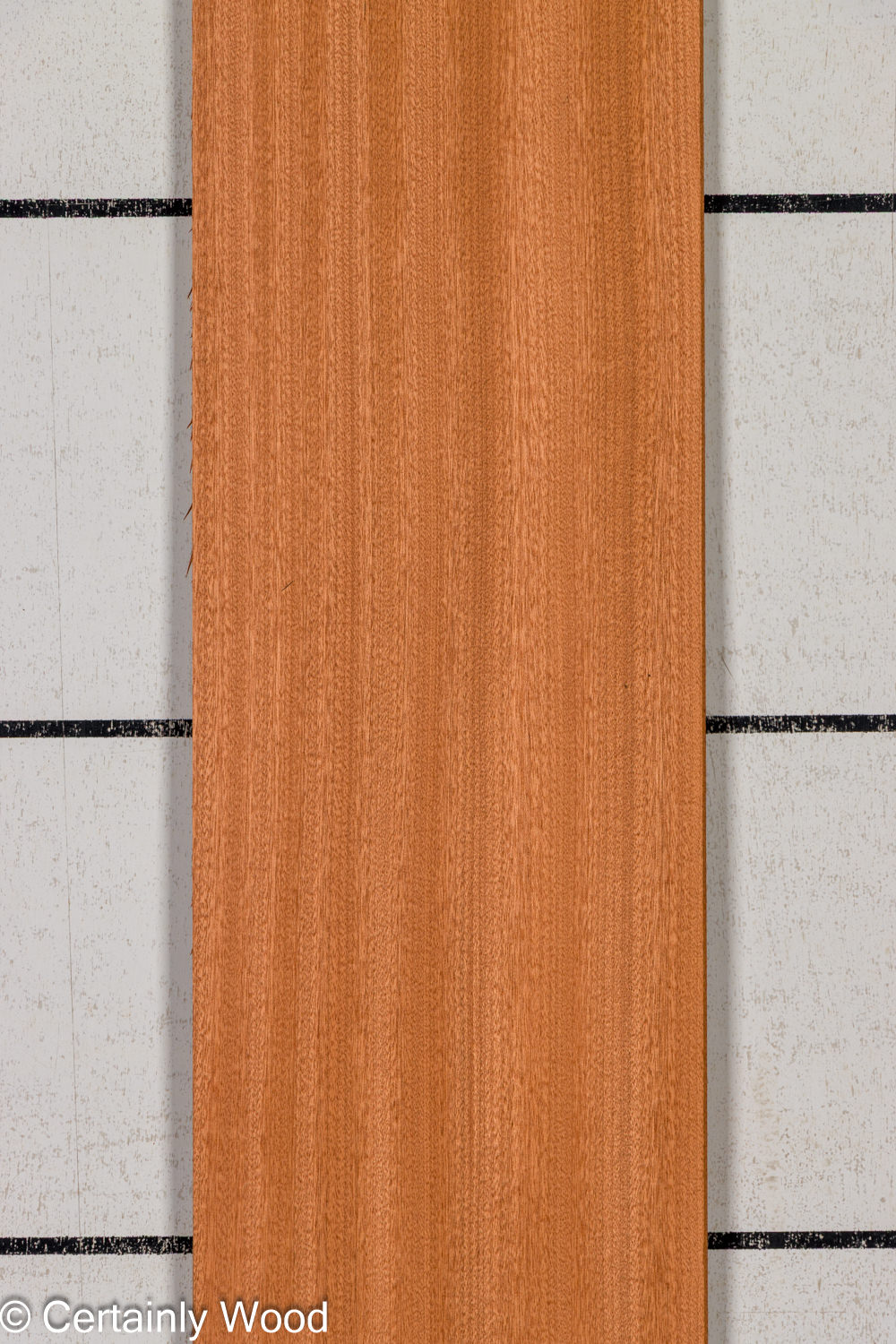 Featured Product Image