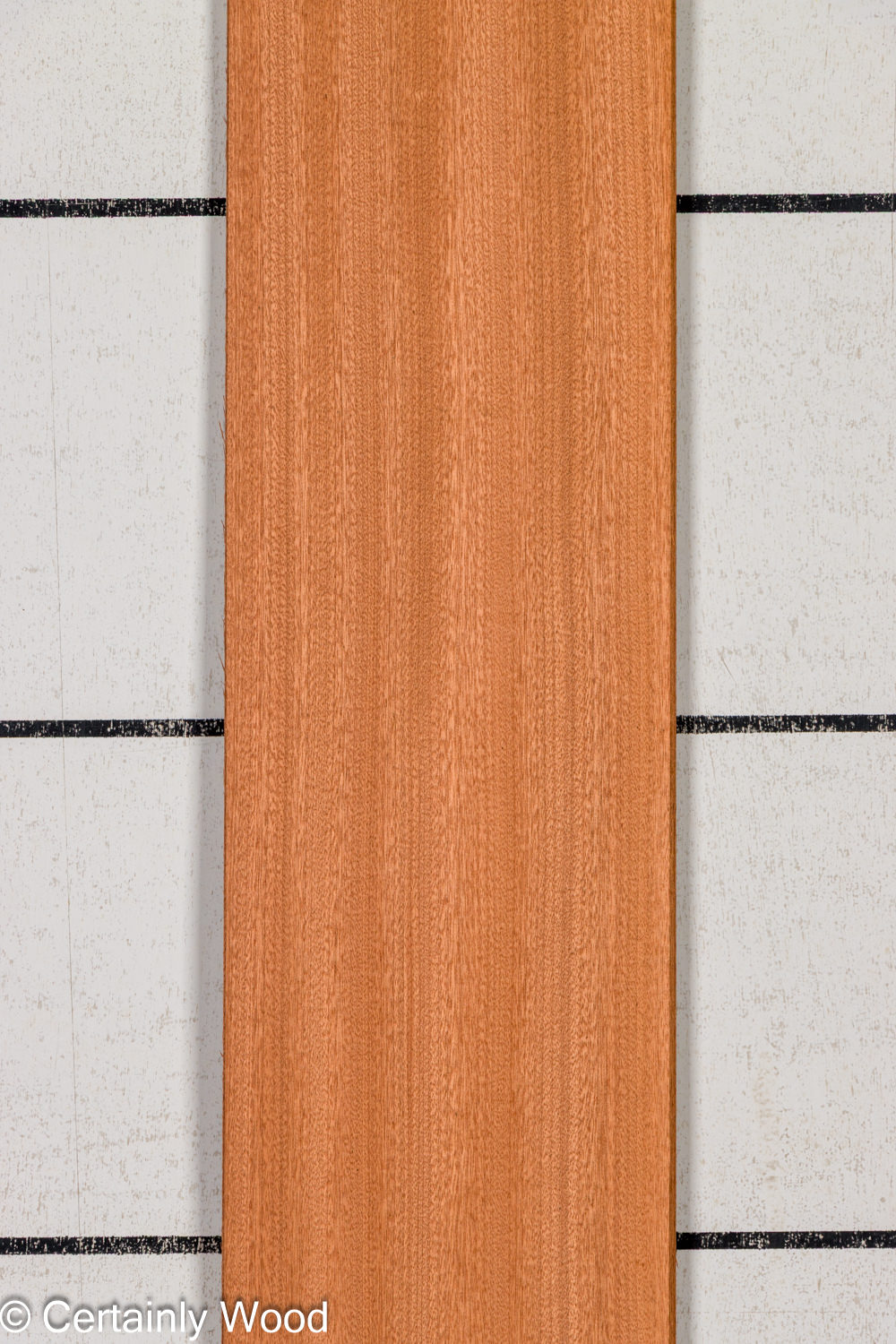 Featured Product Image