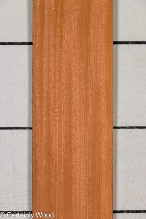 1/16 SAPELE 26252-7