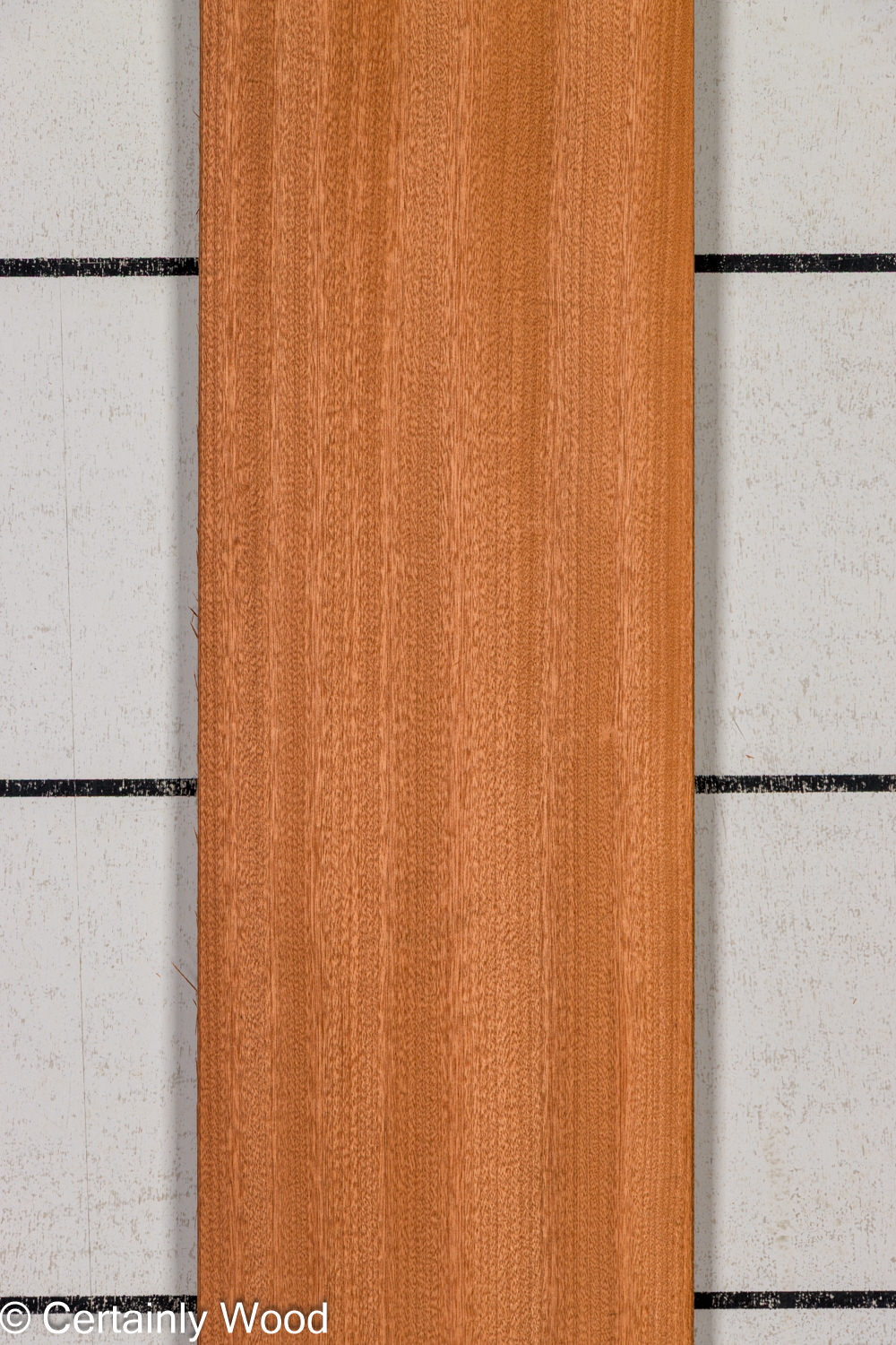 Featured Product Image