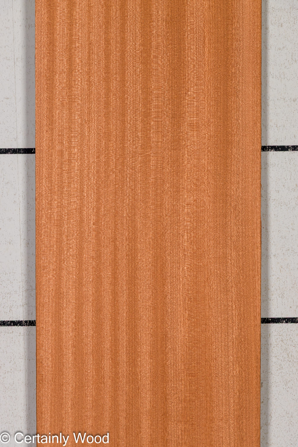 Featured Product Image