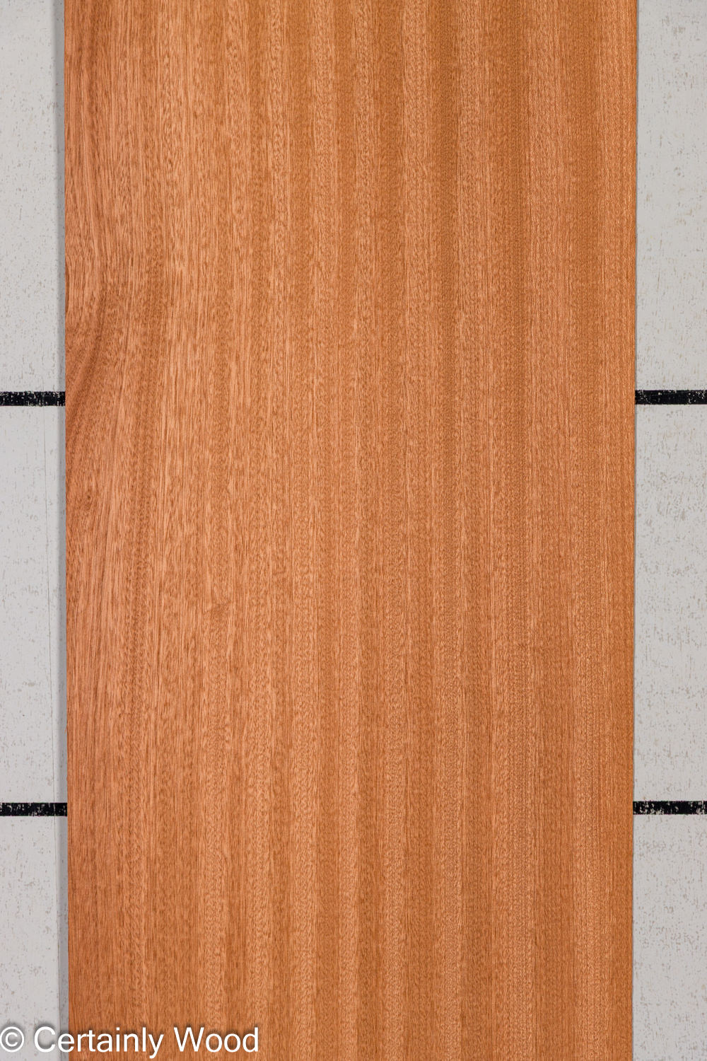 Featured Product Image