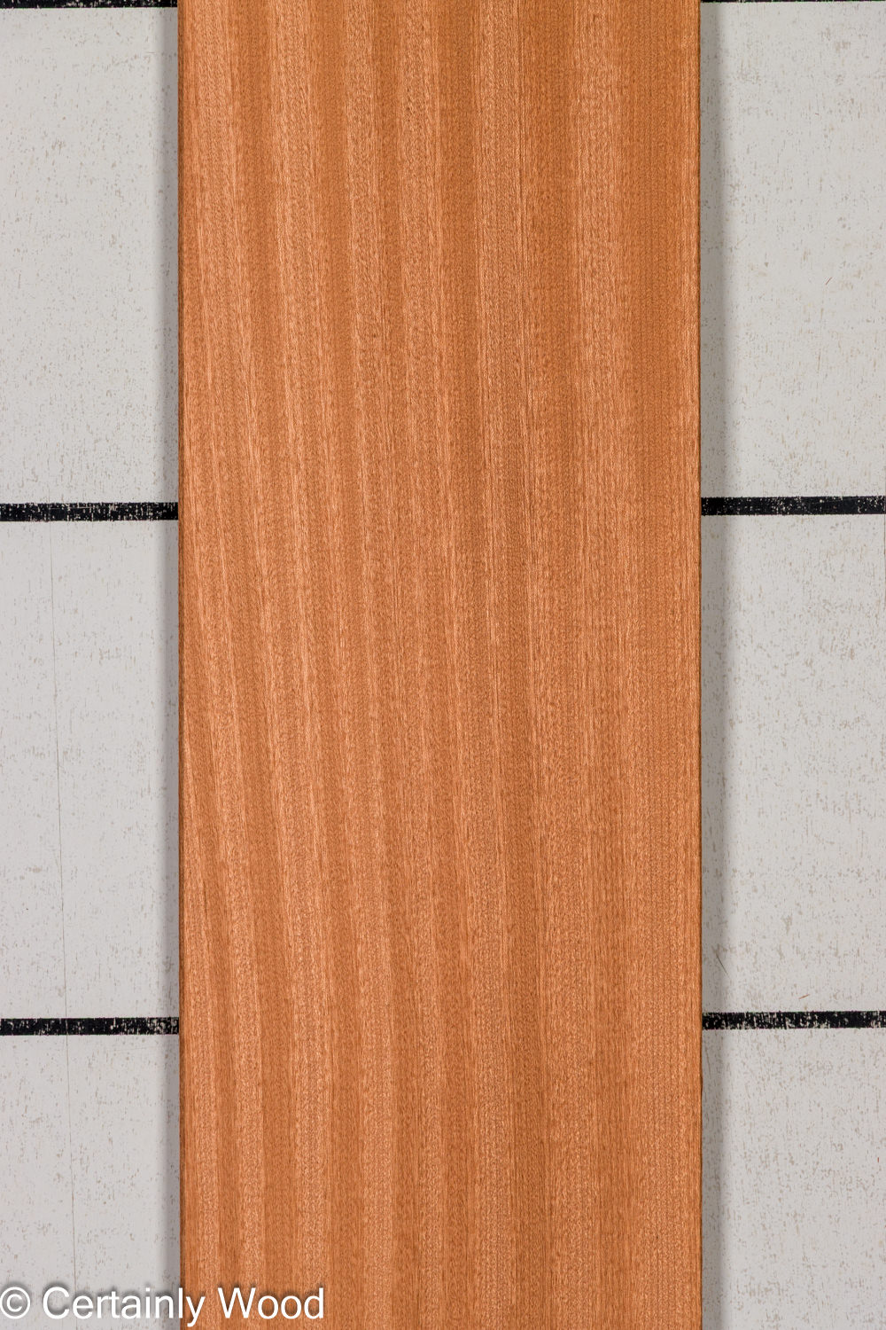 Featured Product Image