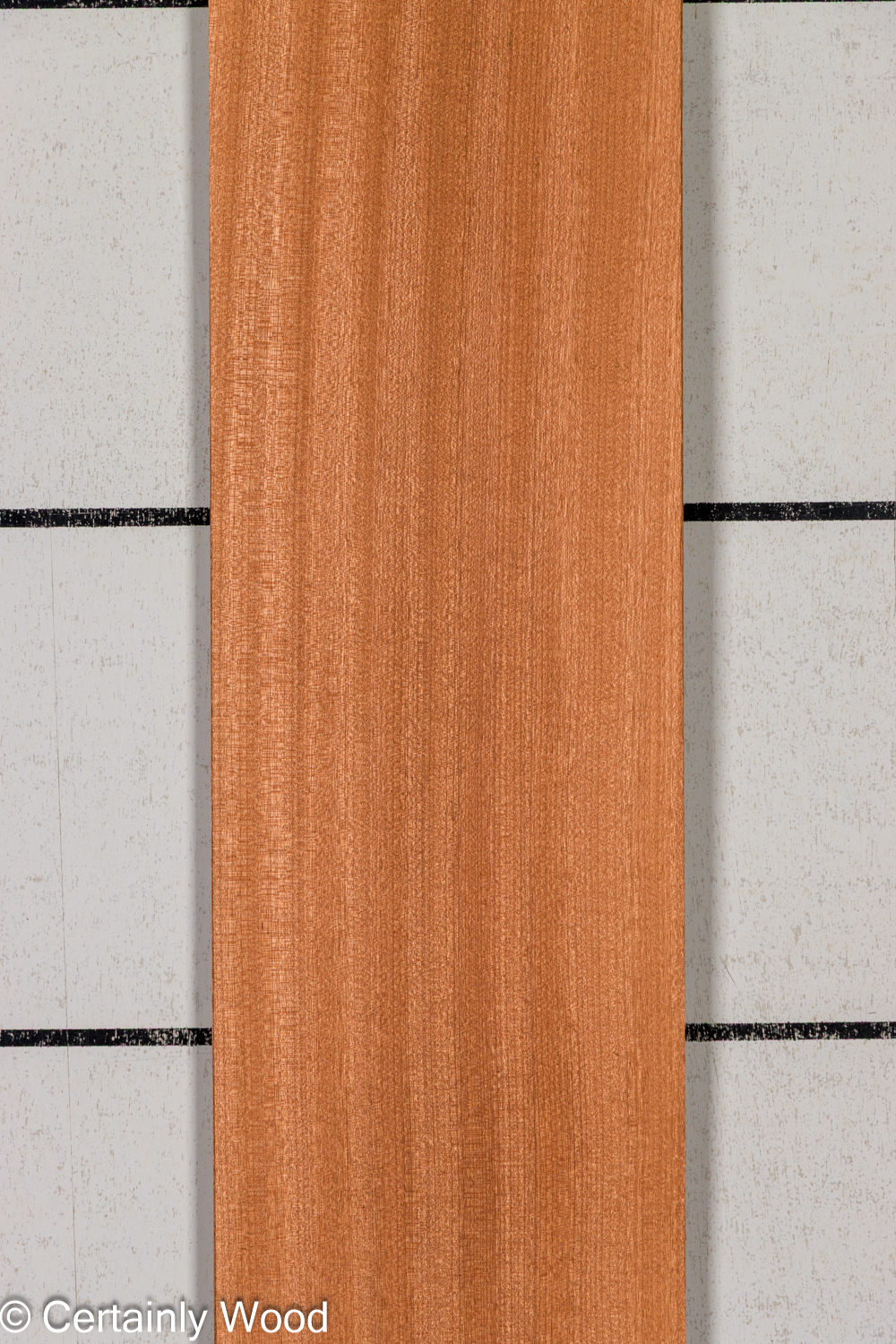 Featured Product Image