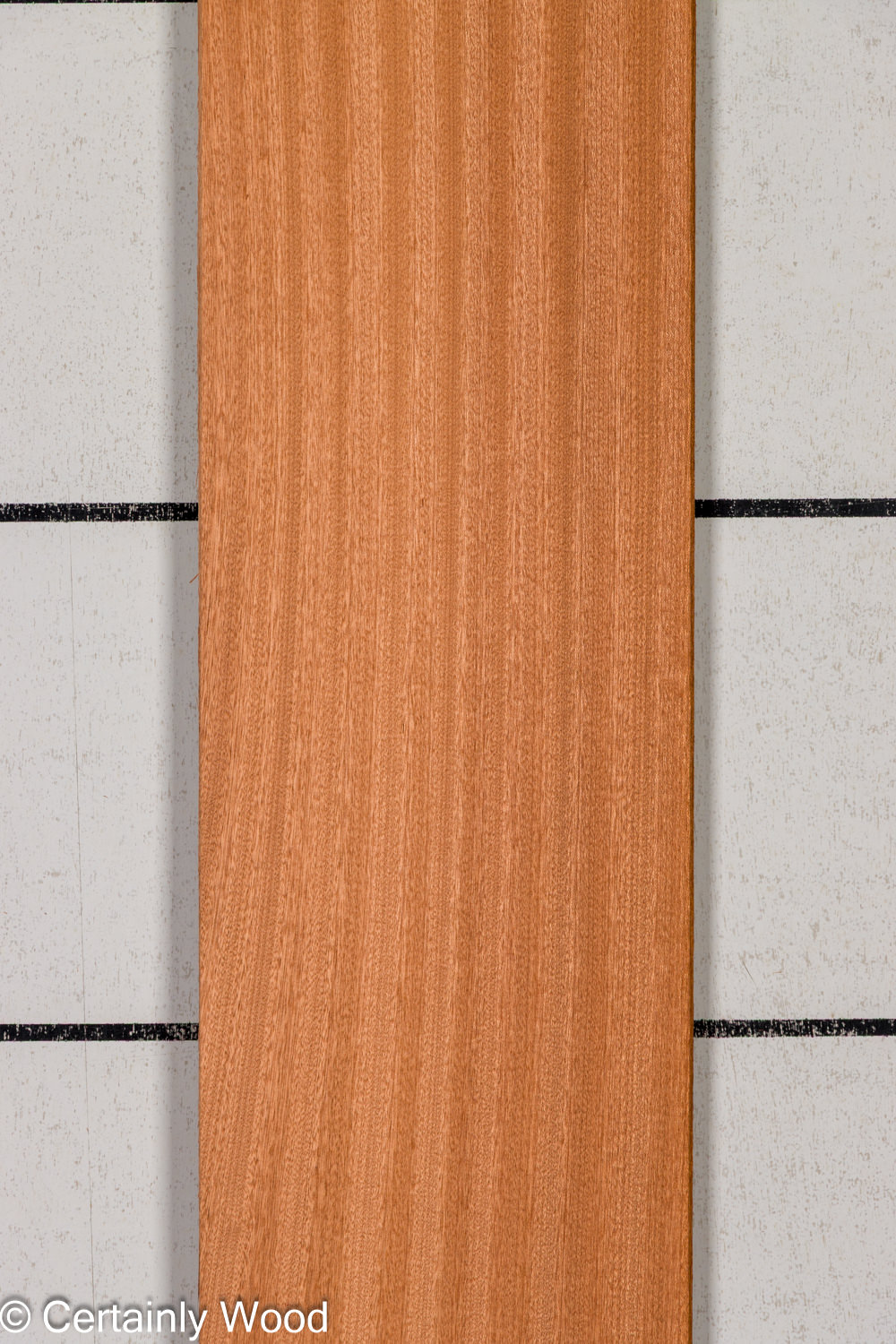 Featured Product Image