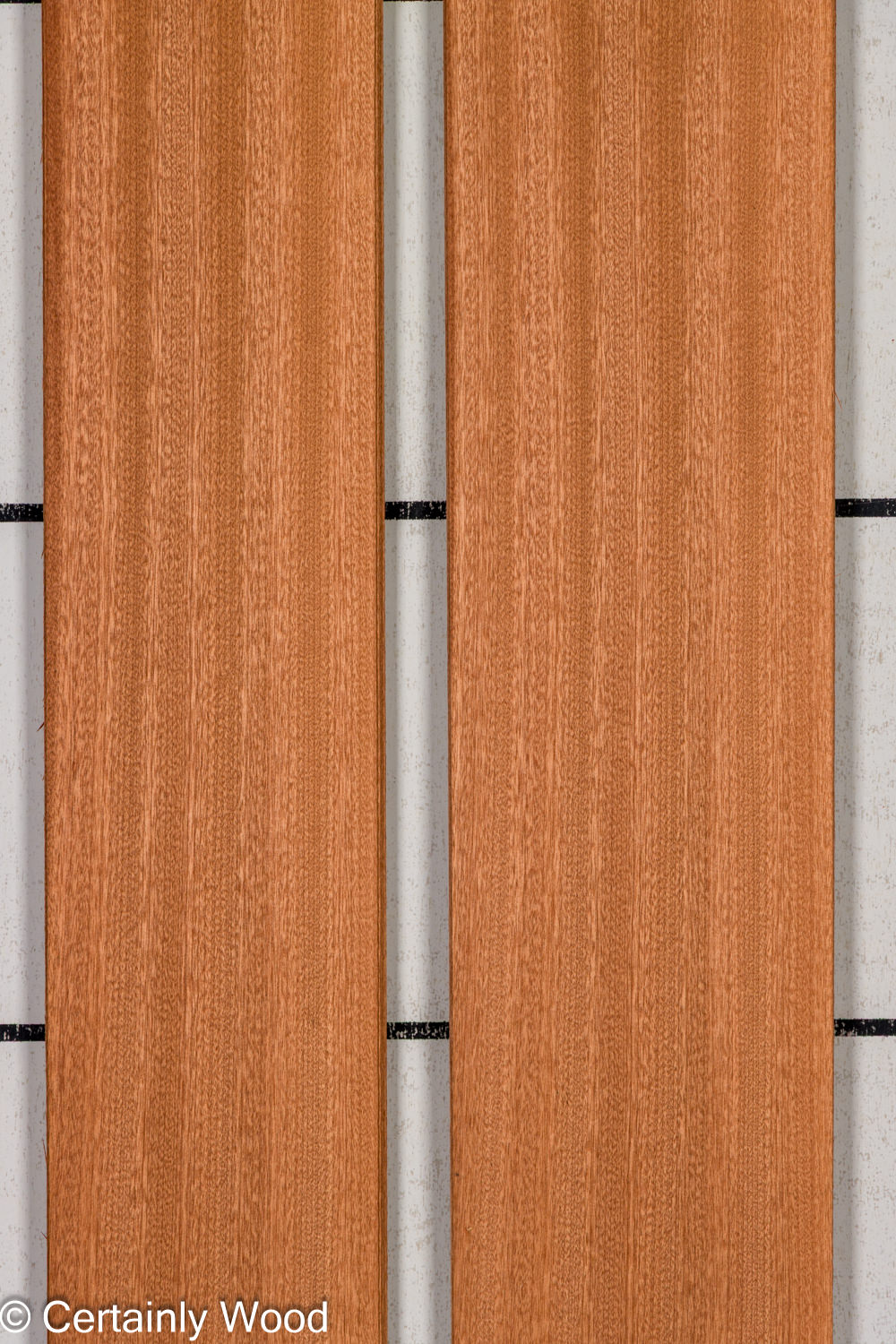 Featured Product Image