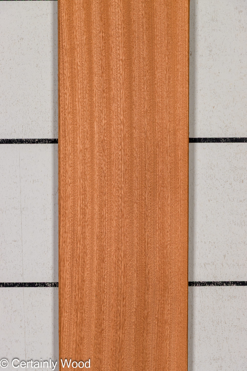 Featured Product Image