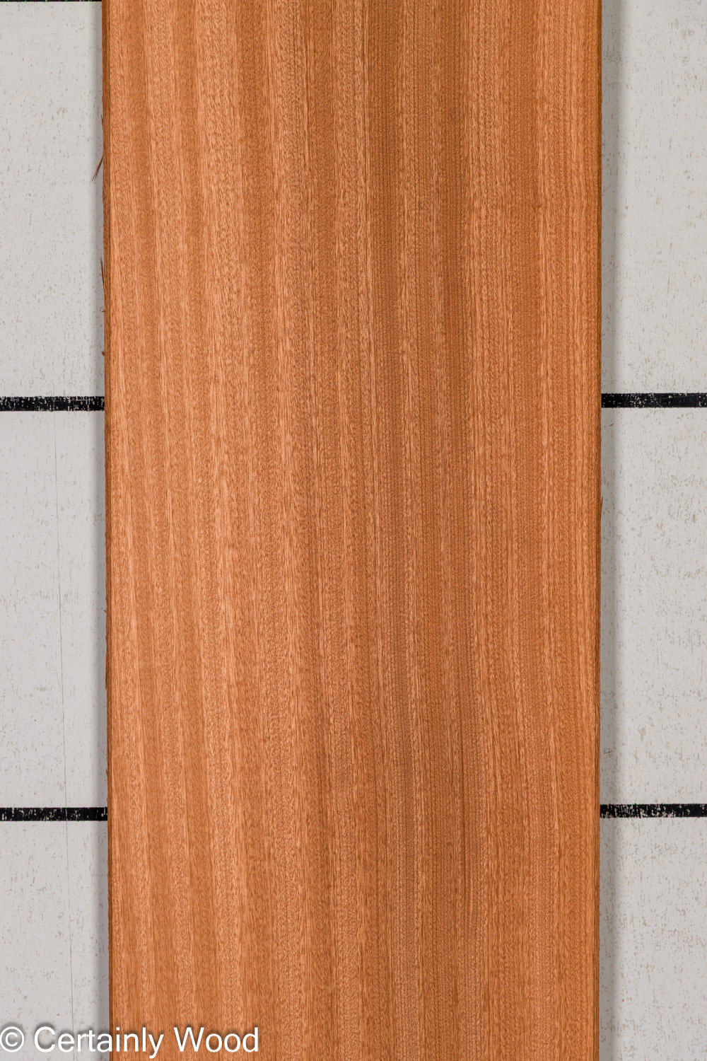 Featured Product Image