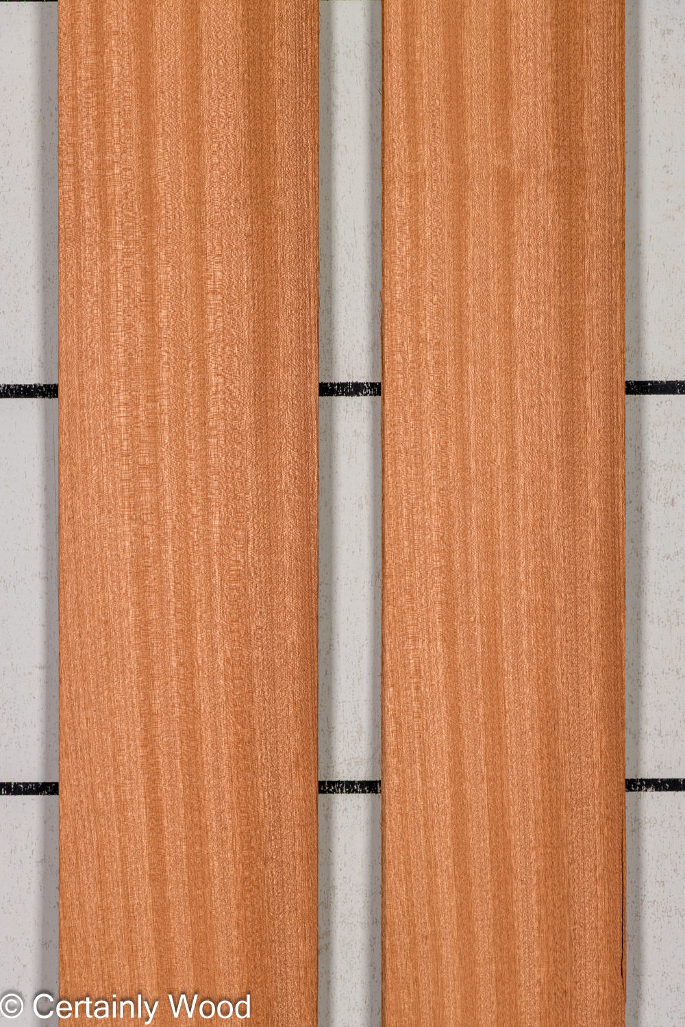 Featured Product Image