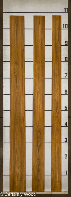 16_TEAK_26236_2