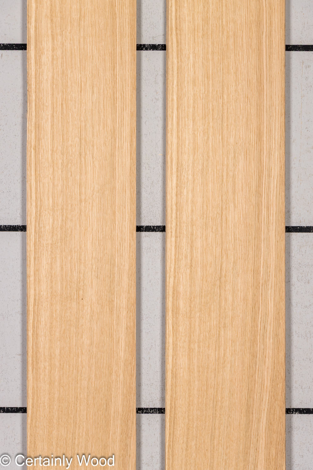 Featured Product Image