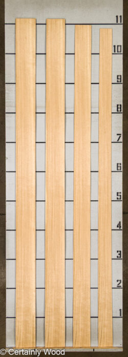 18_RF_OAK_26098-5_2