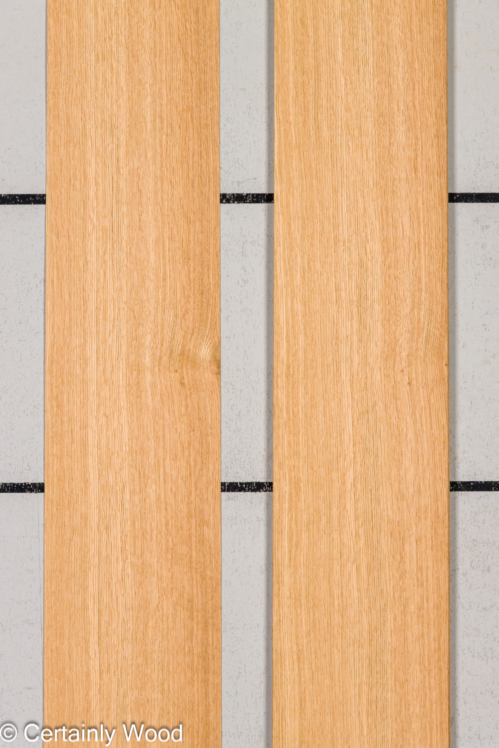 Featured Product Image