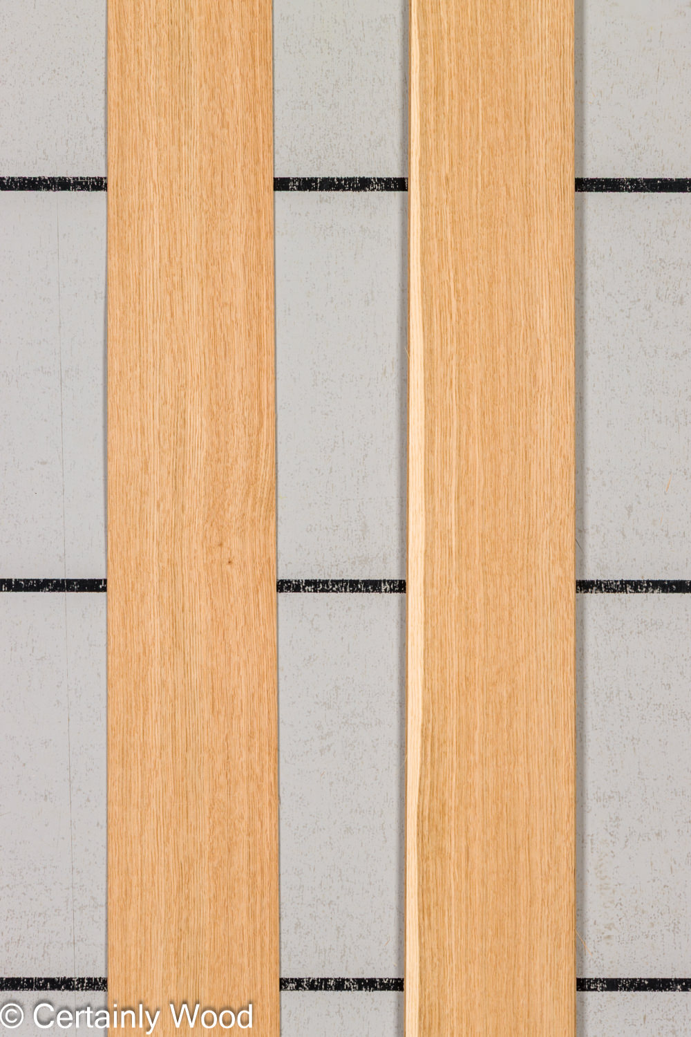 Featured Product Image