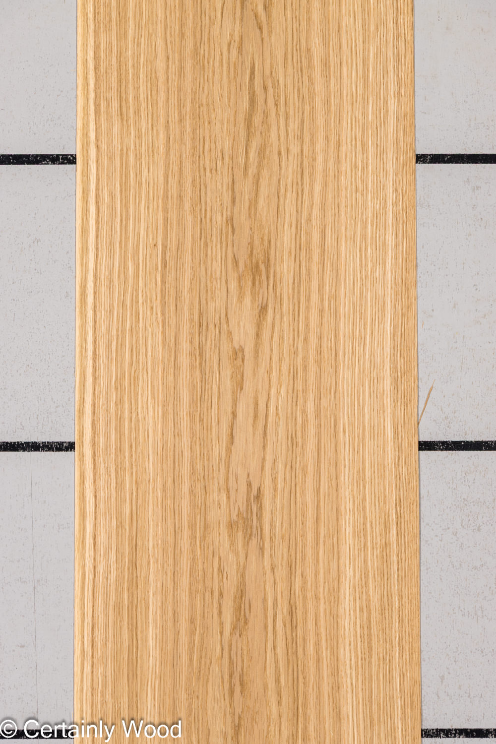 Featured Product Image