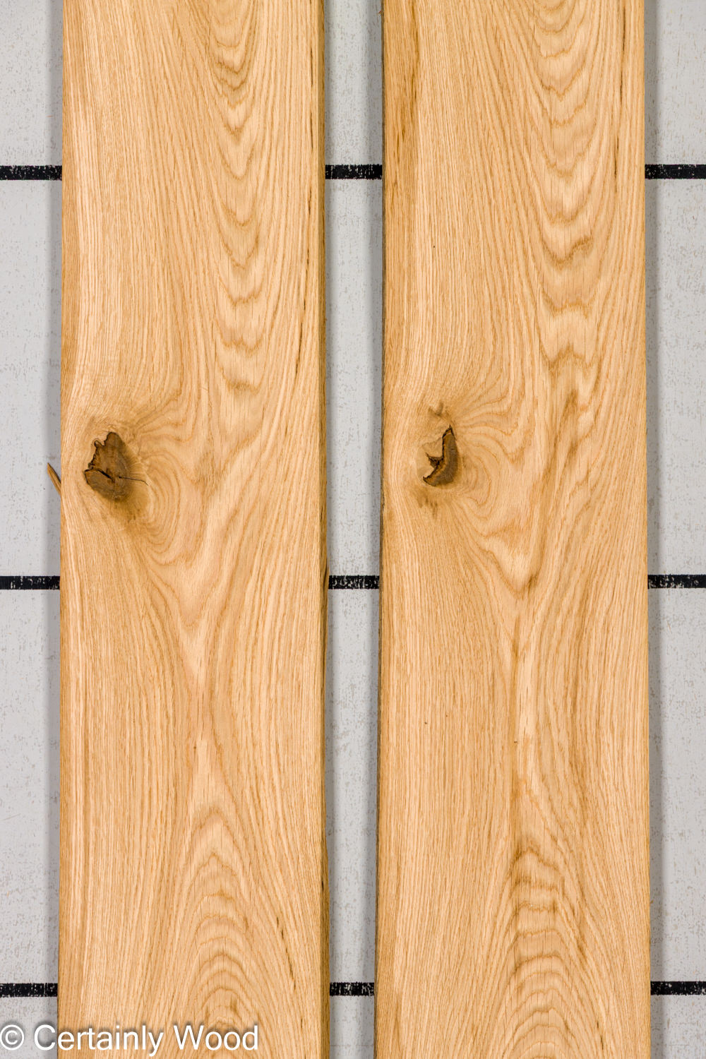 Featured Product Image