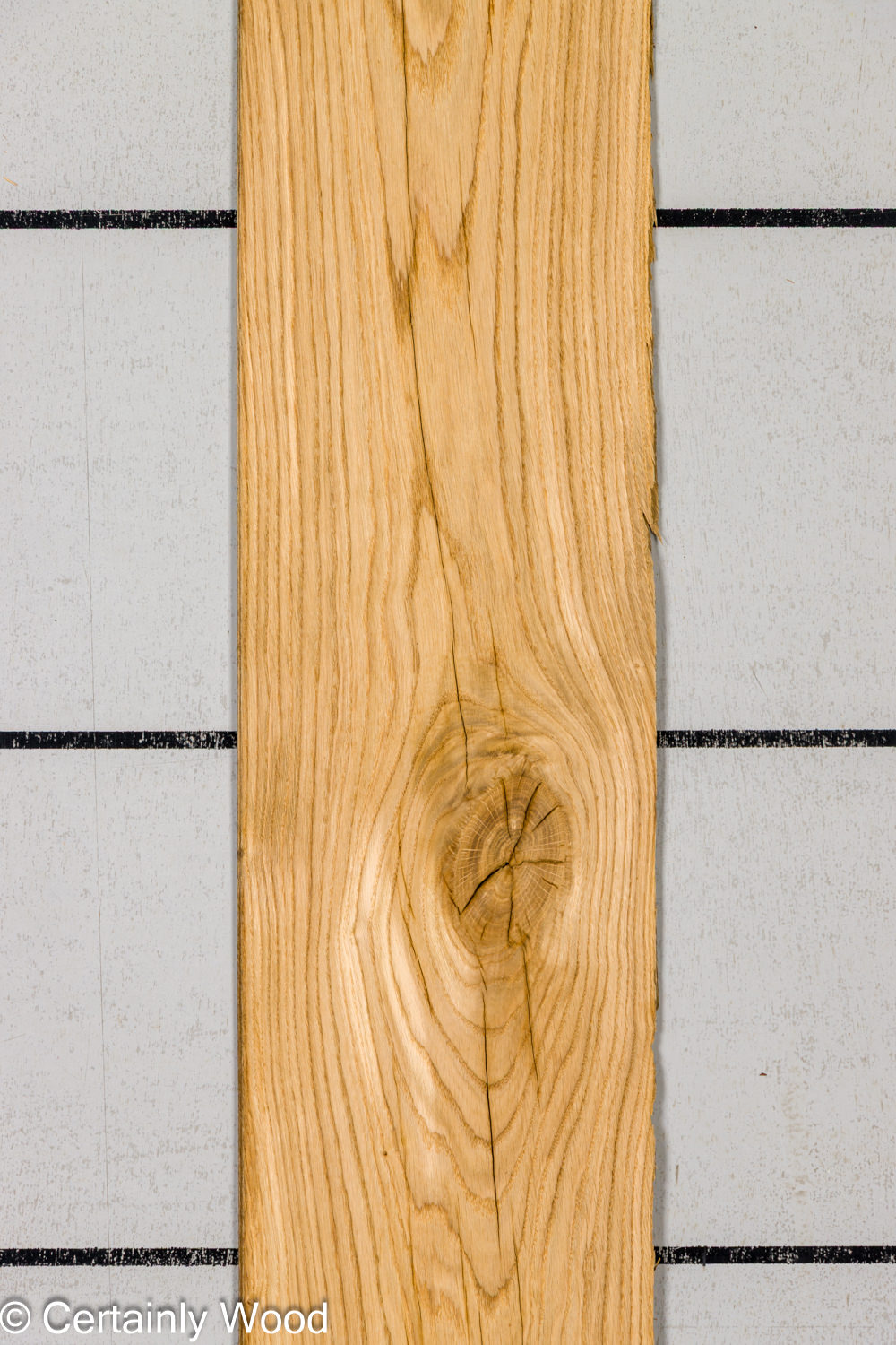 Featured Product Image