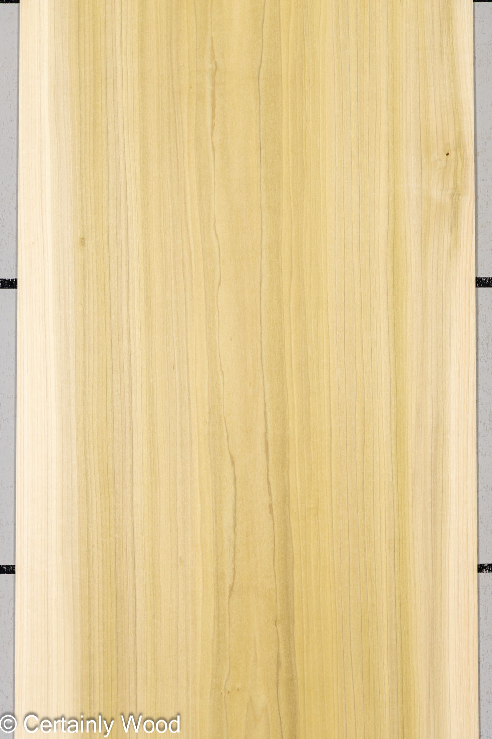 Featured Product Image