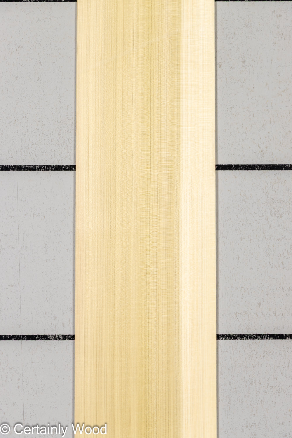 Featured Product Image