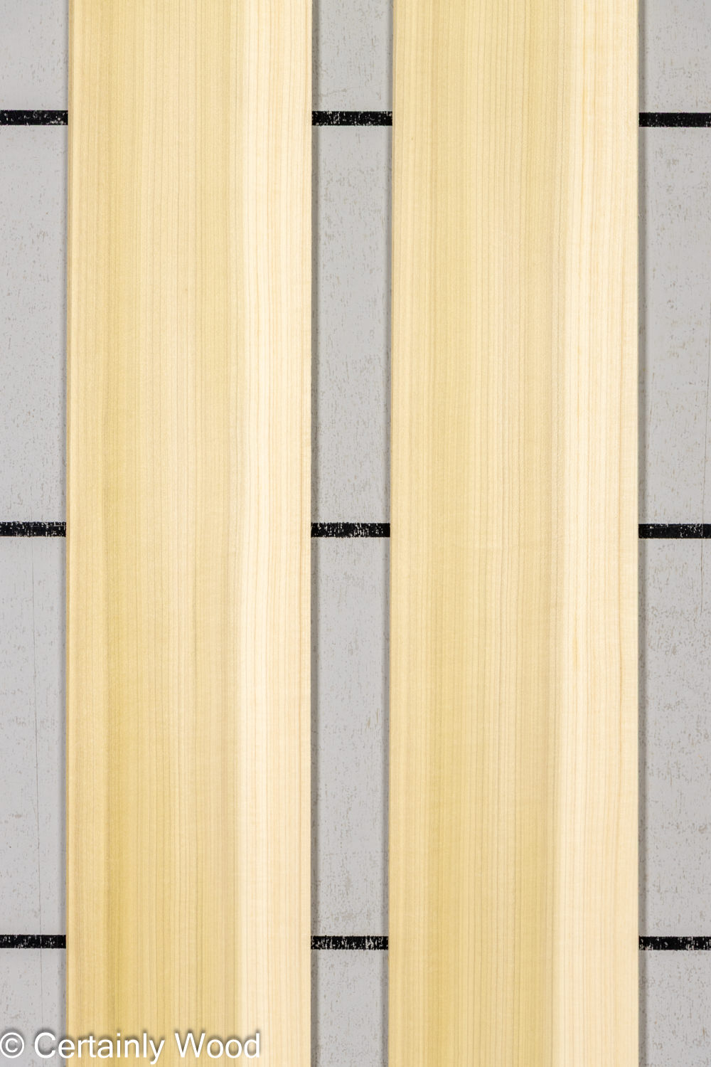 Featured Product Image