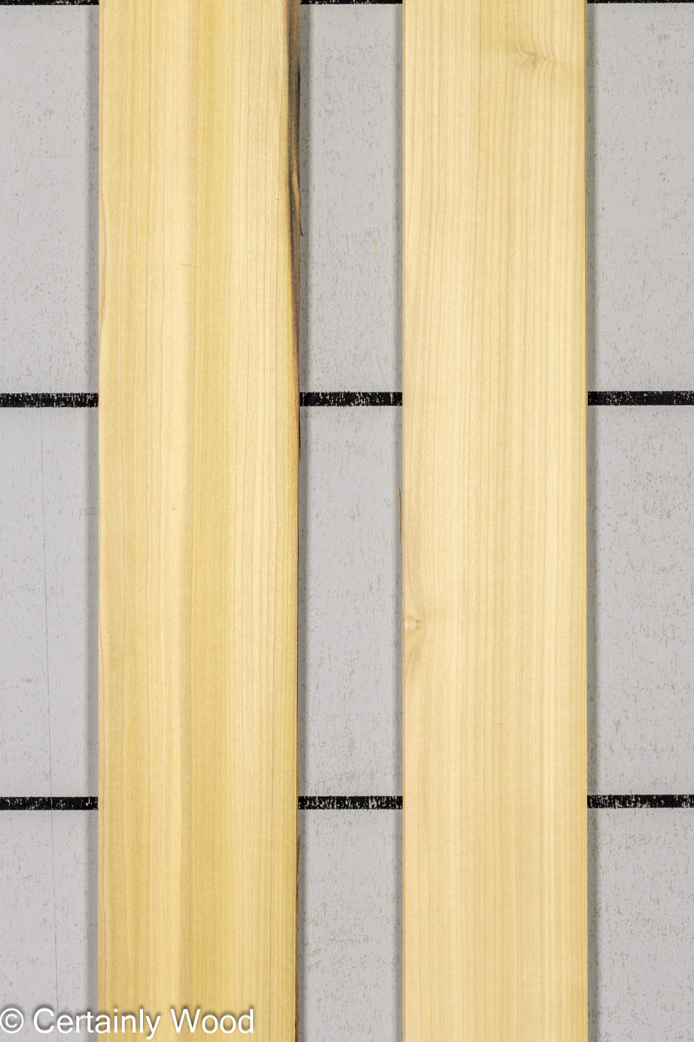 Featured Product Image