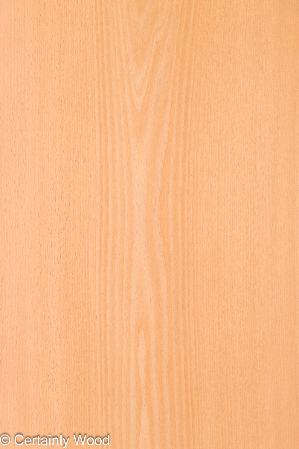 Featured Product Image