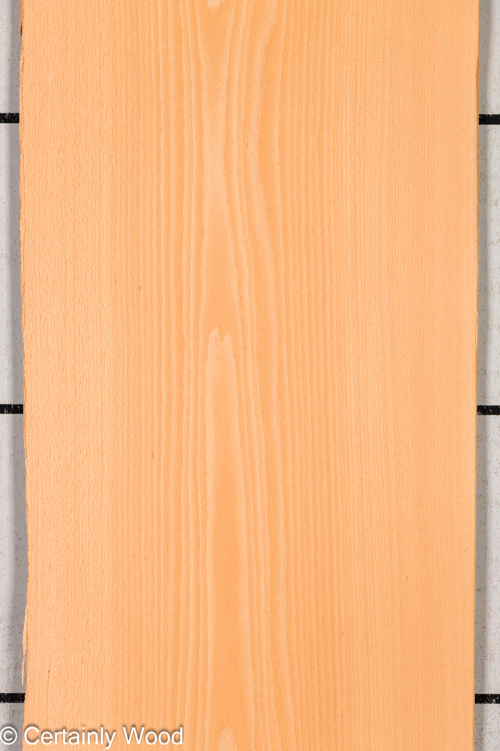 Featured Product Image