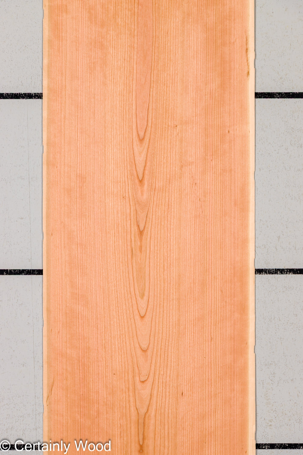 Featured Product Image