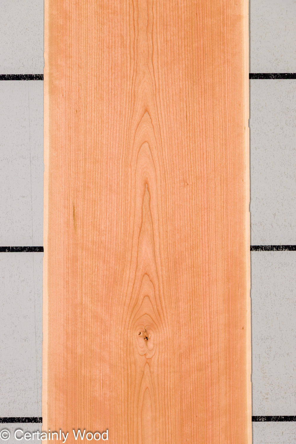 Featured Product Image