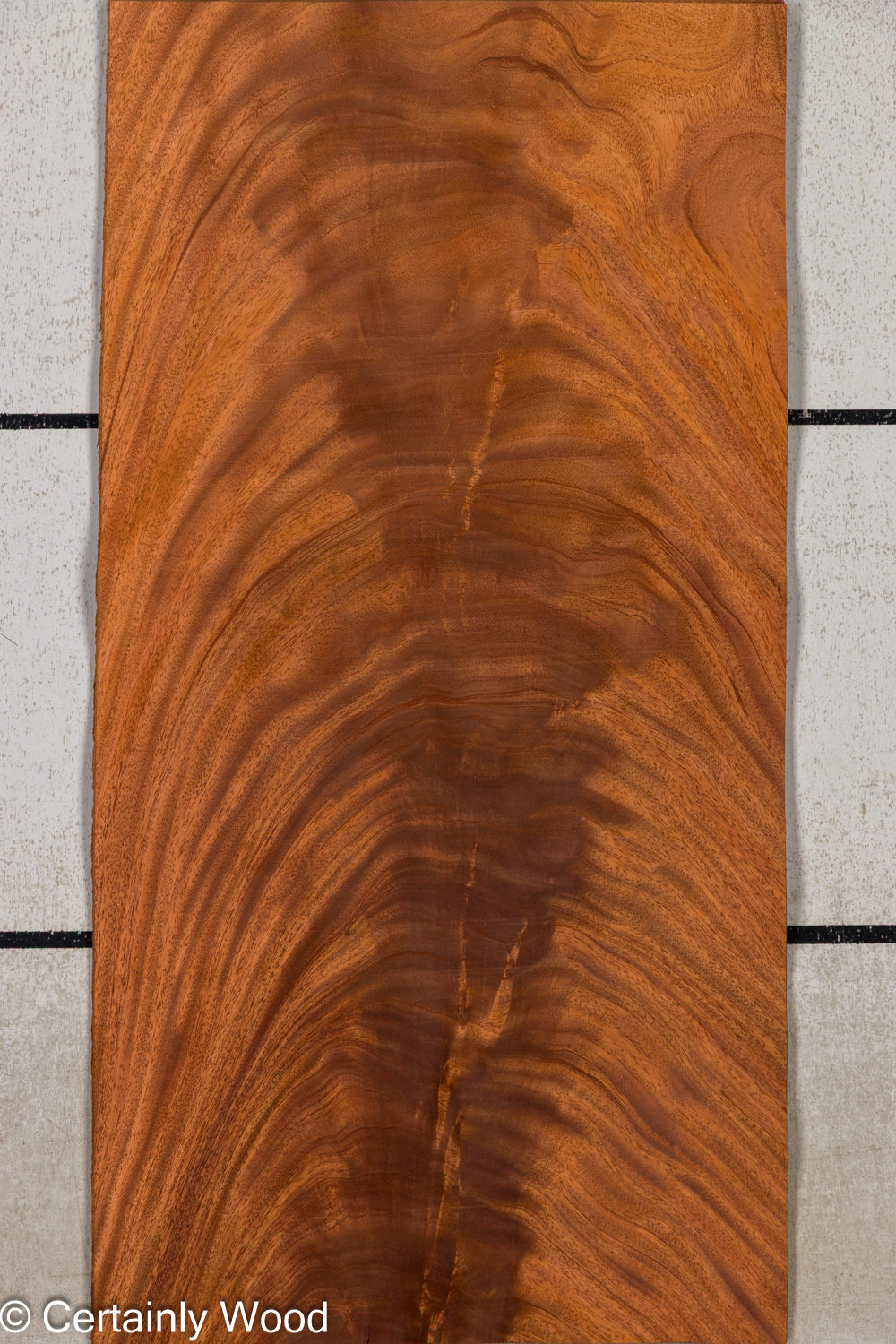 Featured Product Image