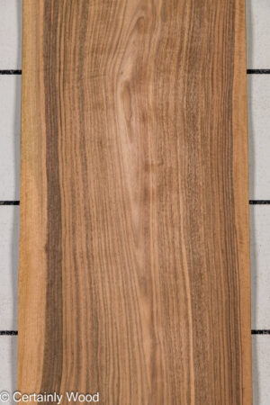 EU WALNUT 26208-1