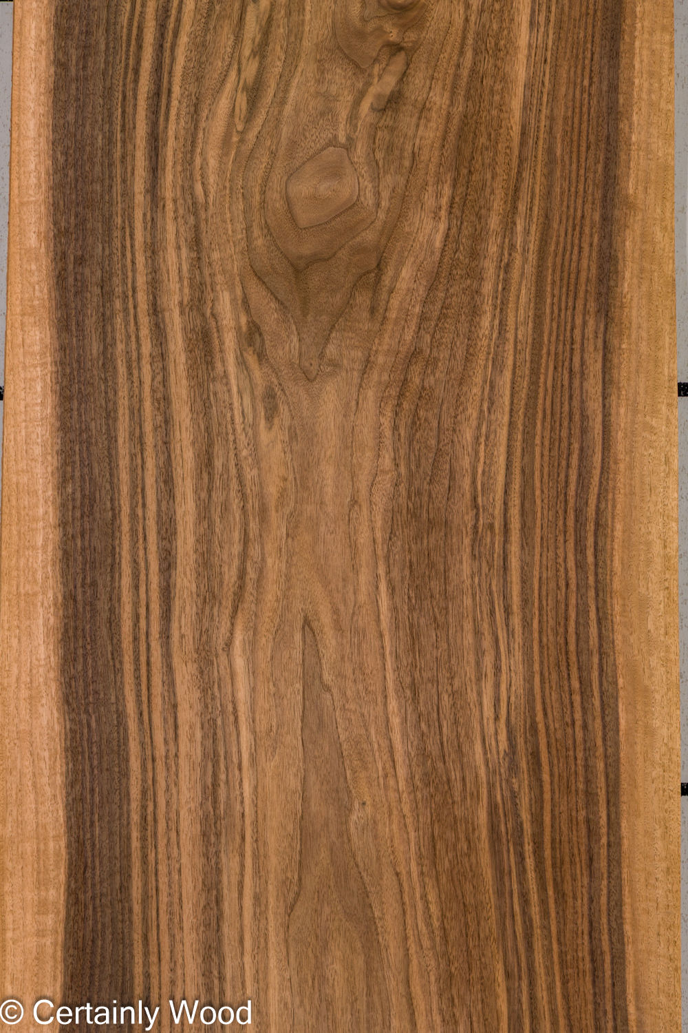 Featured Product Image
