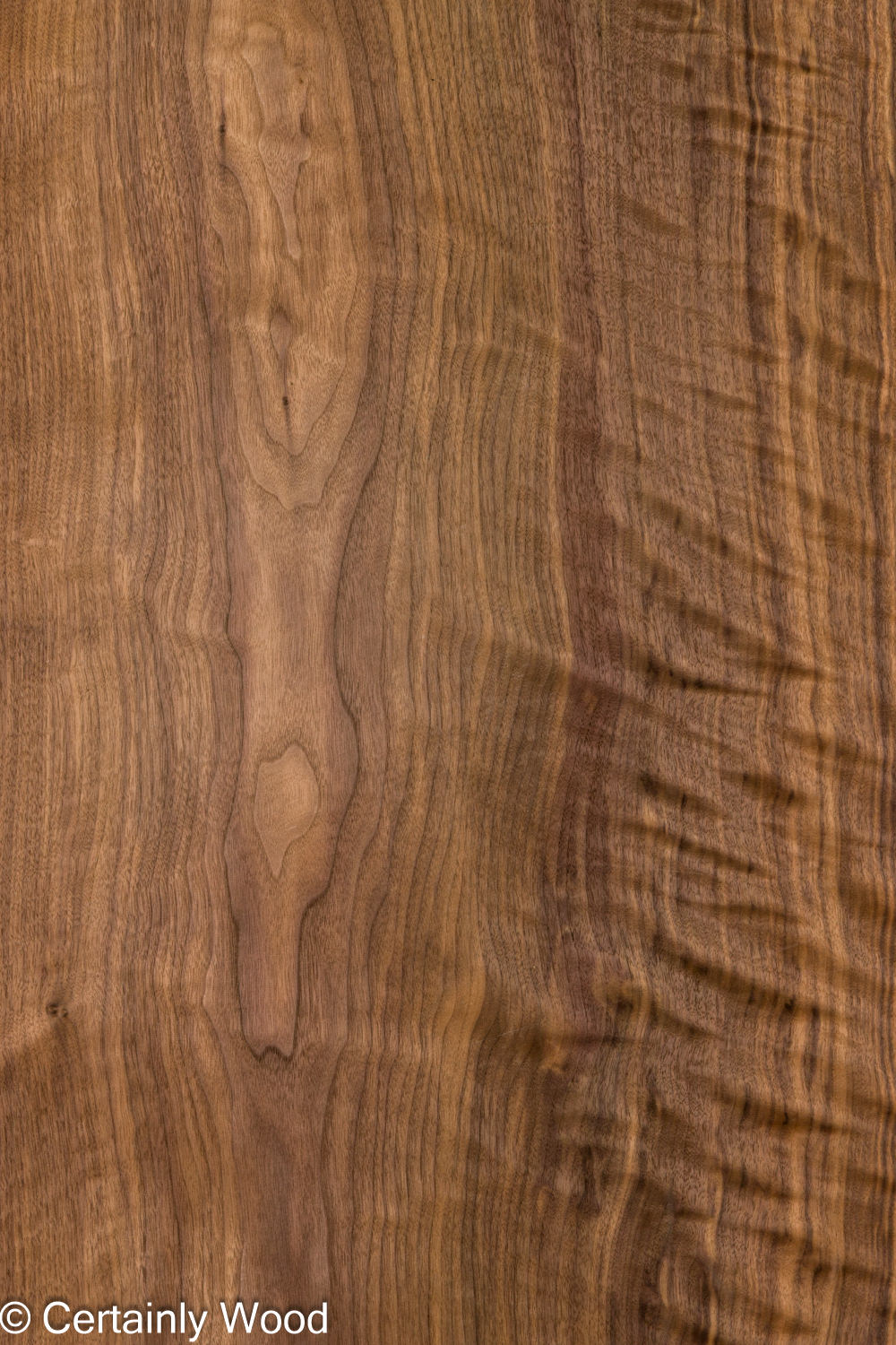 EU_WALNUT_26212-1_1