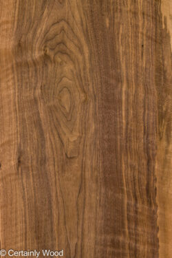 EU_WALNUT_26212-2_1