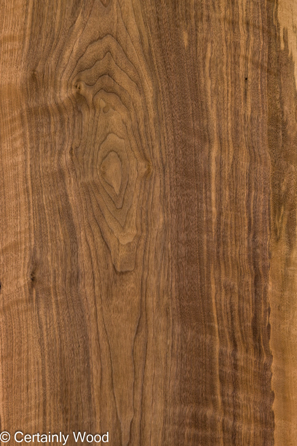 EU_WALNUT_26212-2_1