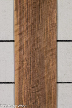 EU_WALNUT_26212-3_1