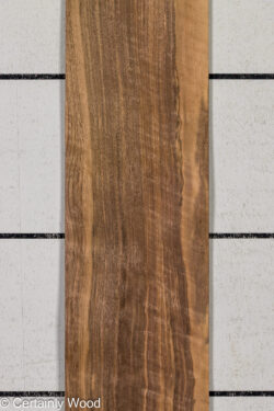 EU_WALNUT_26212-4A_1