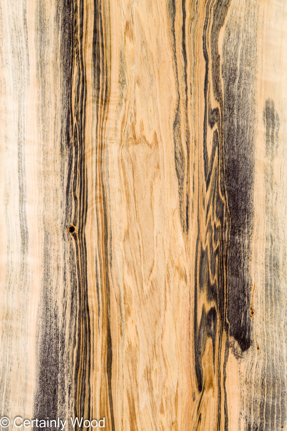 Featured Product Image