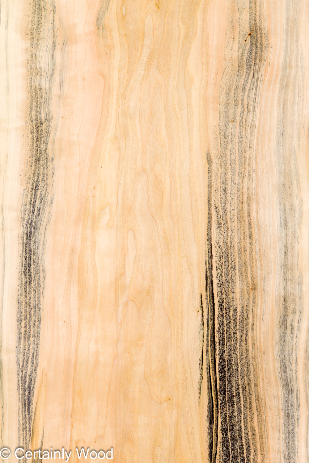 Featured Product Image
