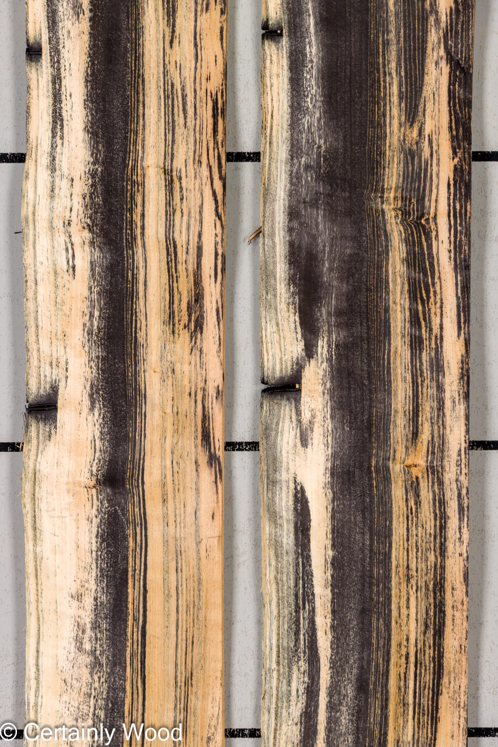 Featured Product Image