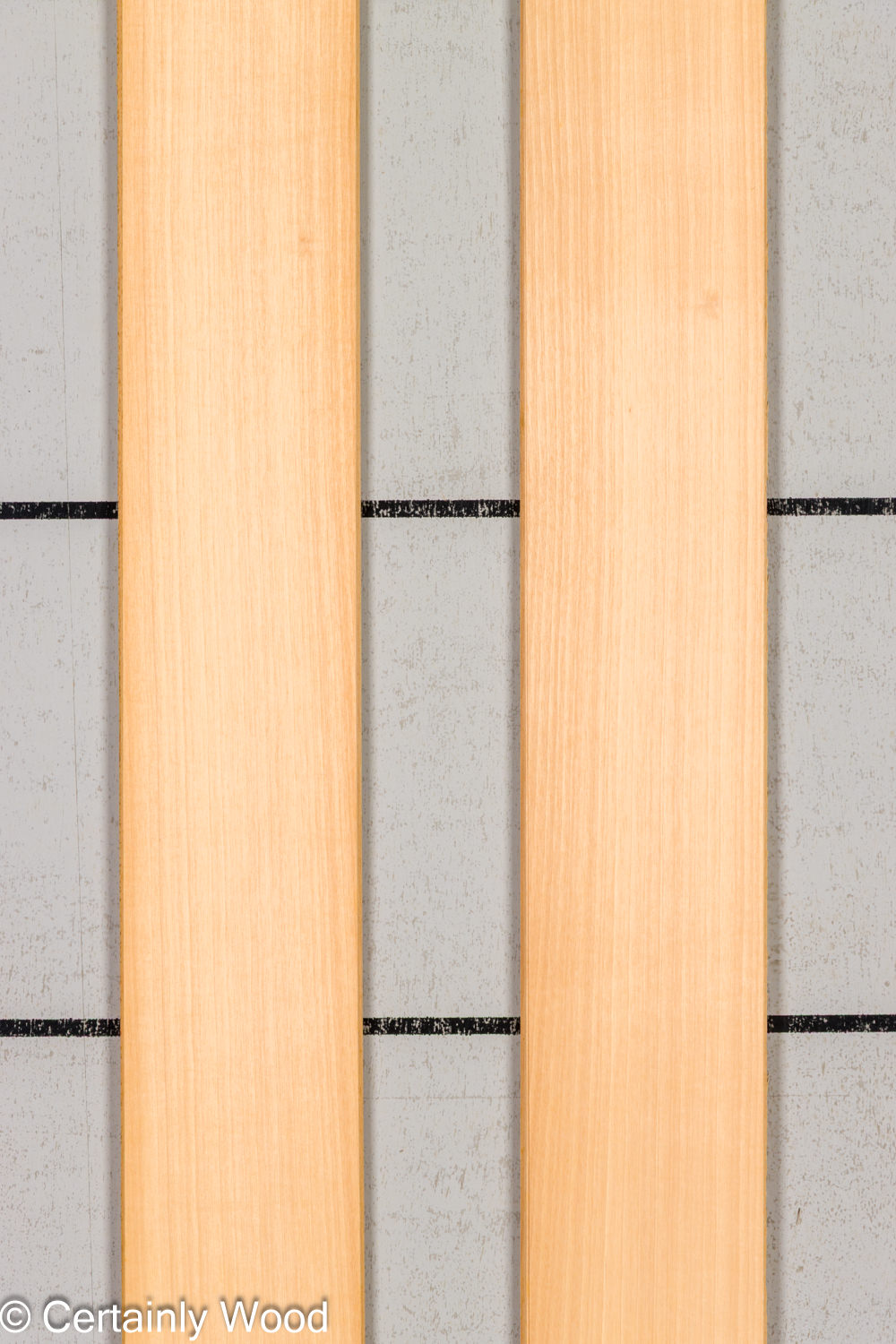 Featured Product Image